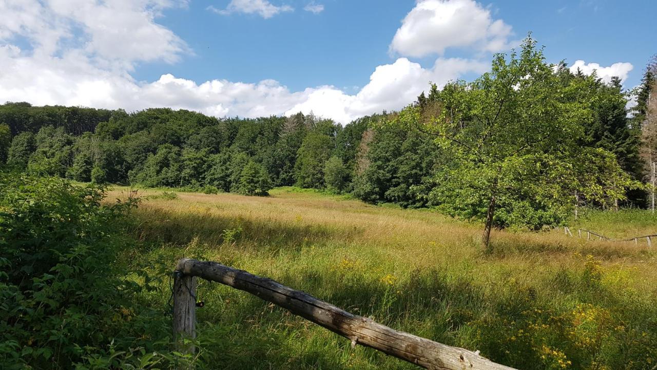 Schoener Weitblick Bad Sachsa Kültér fotó