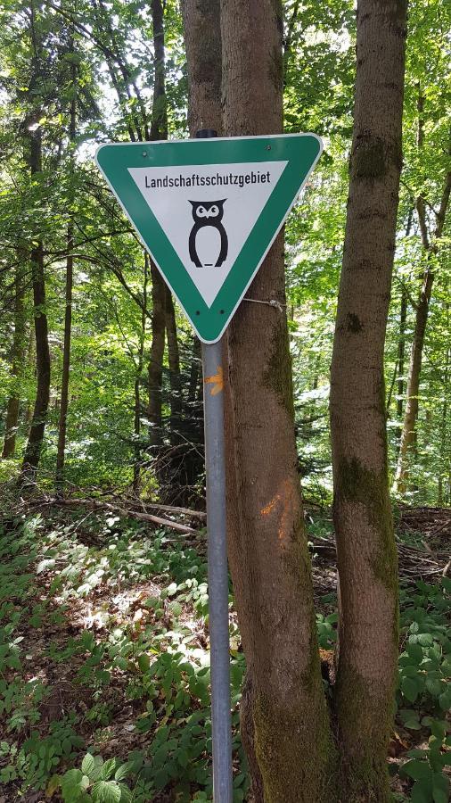 Schoener Weitblick Bad Sachsa Kültér fotó