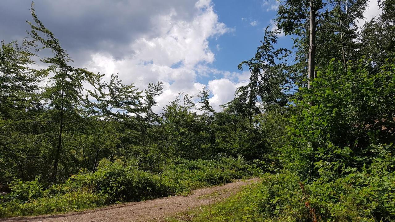 Schoener Weitblick Bad Sachsa Kültér fotó