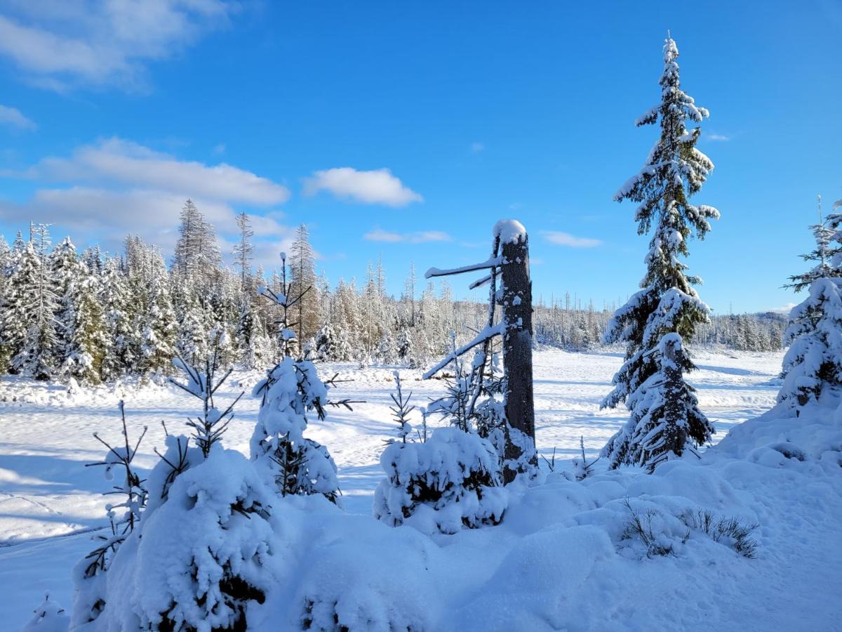 Schoener Weitblick Bad Sachsa Kültér fotó