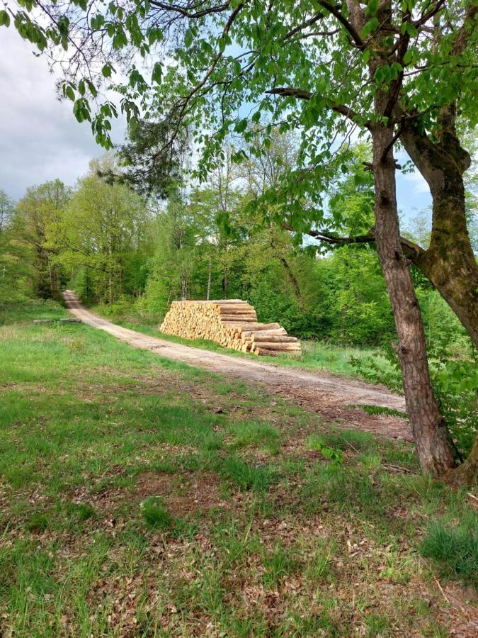 Schoener Weitblick Bad Sachsa Kültér fotó